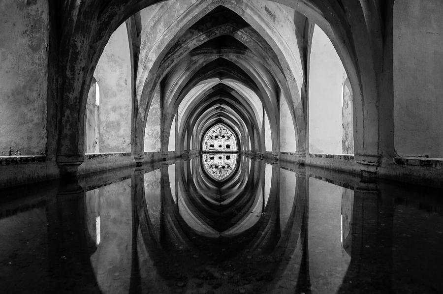 Reflection of Perfection BW Photograph by AM FineArtPrints