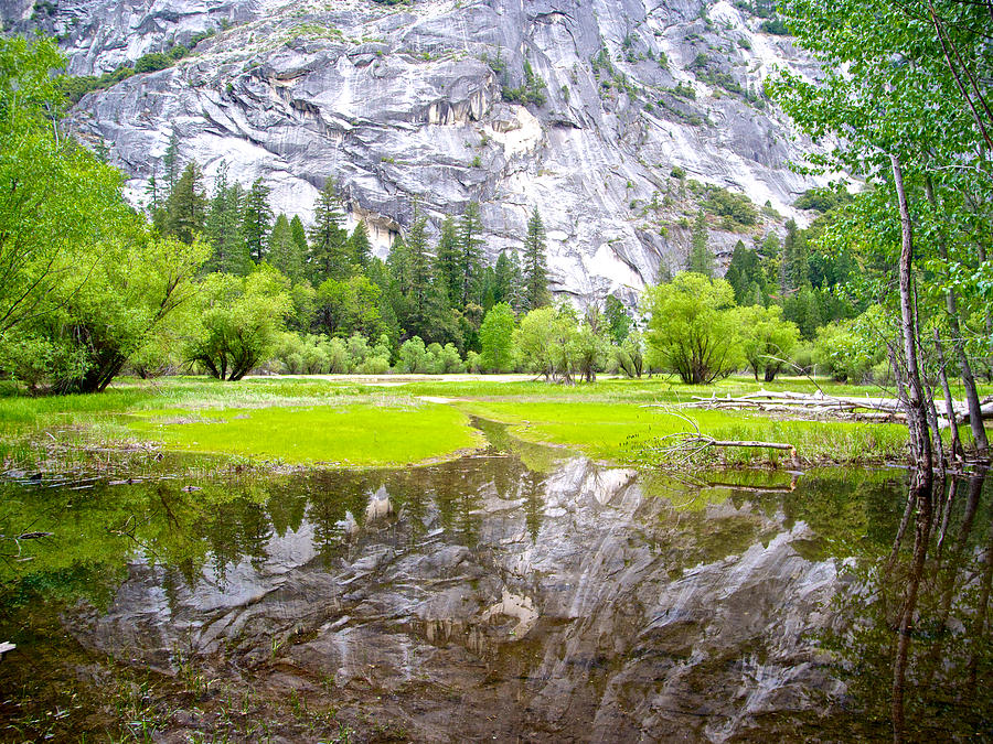 Reflection of Rock and Trees in Mirror Lake in Yosemite Valley-California Photograph by Ruth Hager