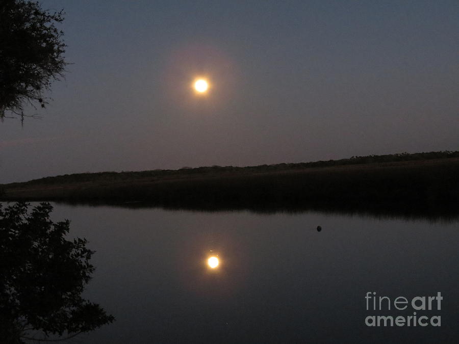 Reflection of Super Moon Photograph by Fortunate Findings Shirley Dickerson