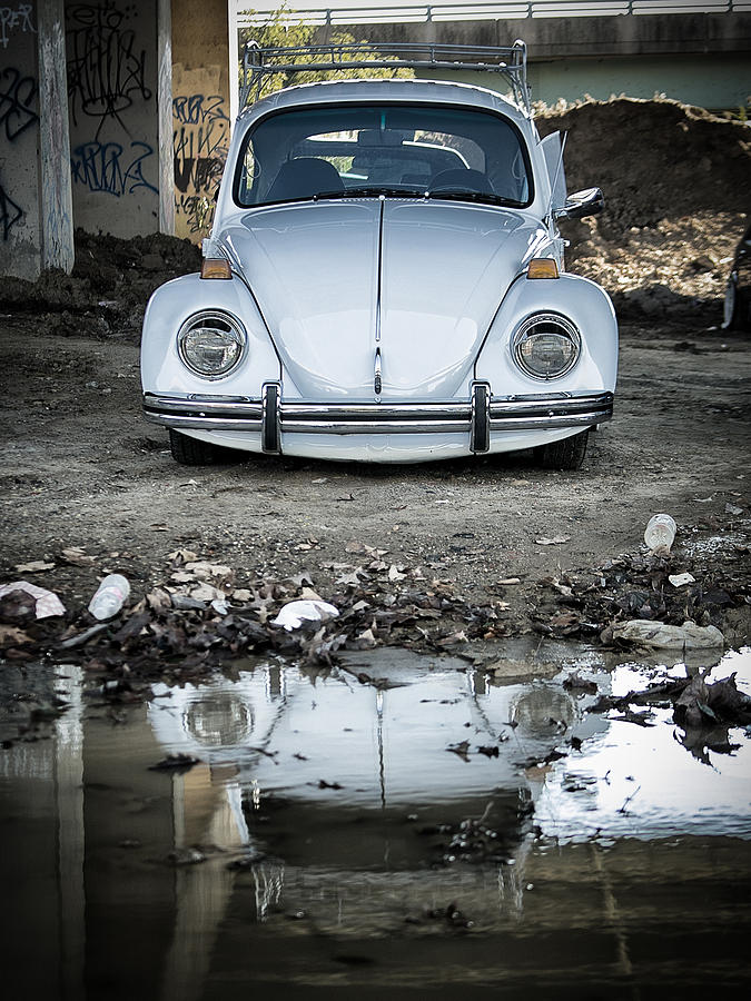 Reflection of the Beetle Photograph by Scott Wyatt