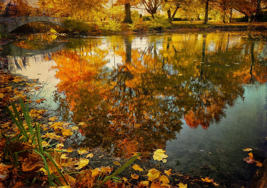 Reflection of the fall Photograph by Ludmila Nayvelt - Fine Art America