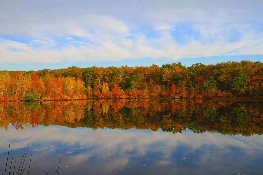 Reflection of the Fall Photograph by Roger Becker