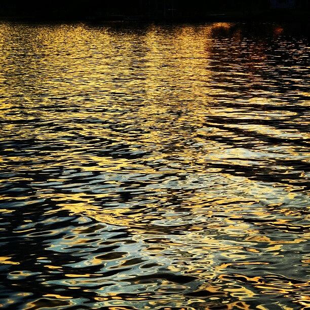 Reflection Of The Sunset On The Water Photograph by Jinxi The House Cat