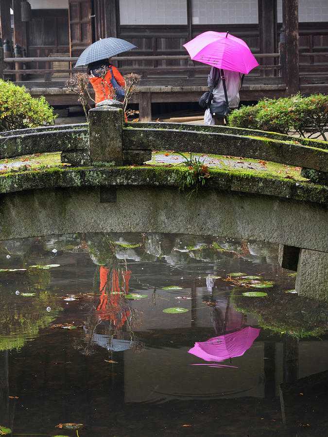Reflection Of Tourists In Pond Photograph by Panoramic Images