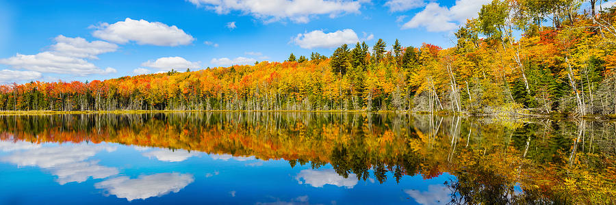 Reflection Of Trees In A Lake, Petes Photograph by Panoramic Images ...