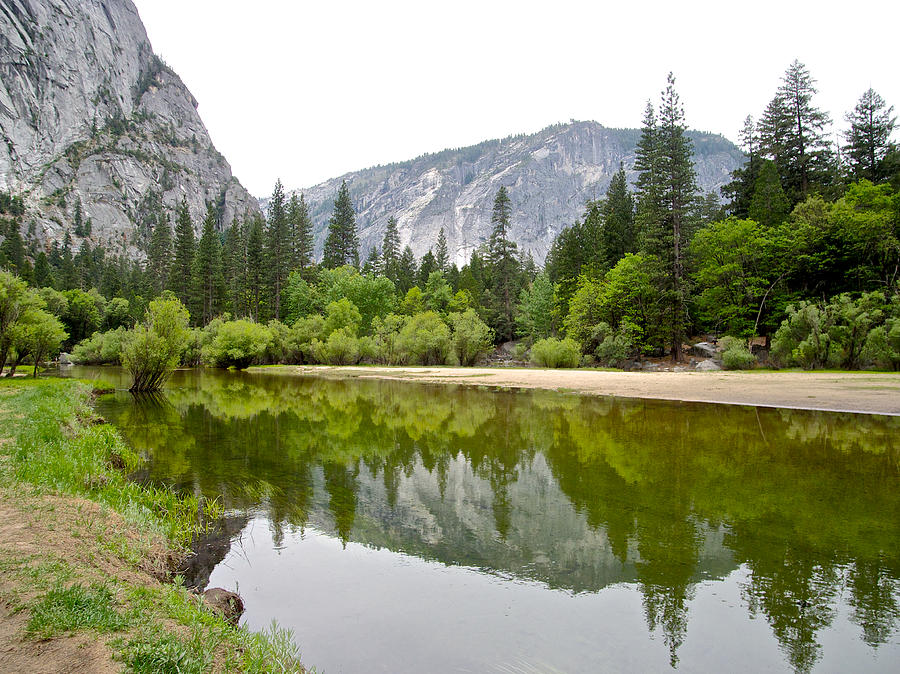 Reflection of Trees in Mirror Lake in Yosemite Valley-California Photograph by Ruth Hager