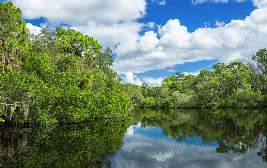 Reflection Of Trees On Water, South Photograph by Panoramic Images ...