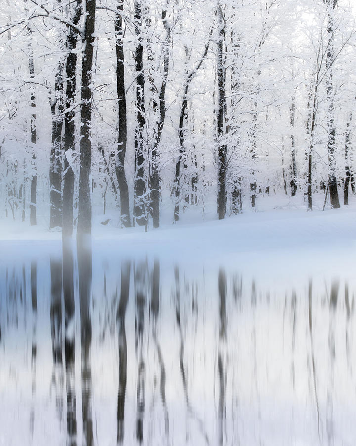 Winter Photograph - Reflection on a Dream Collingwood, ON by Andrea Kollo