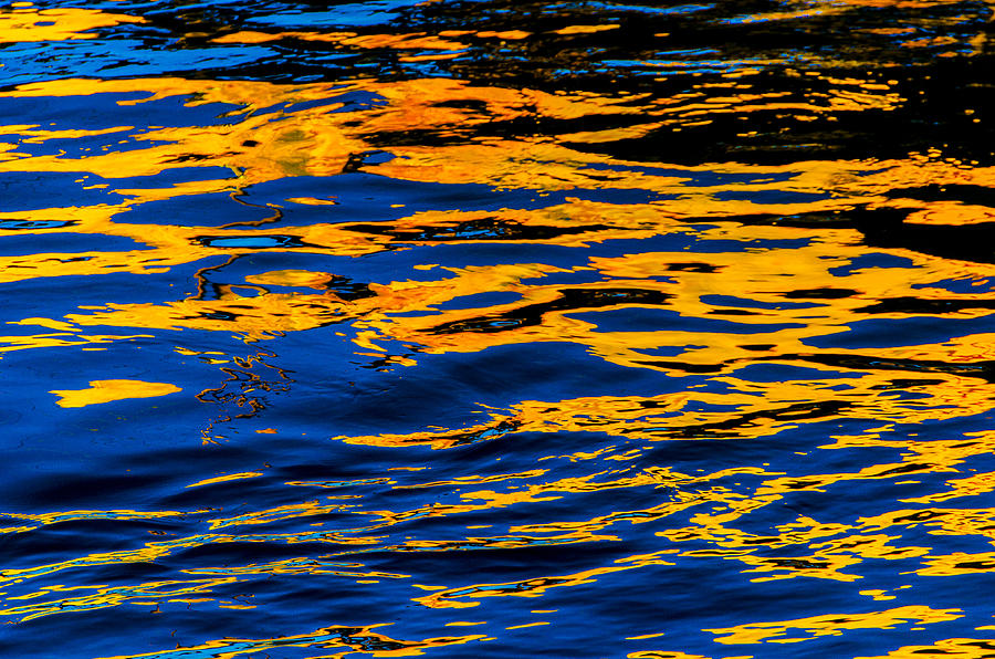 Reflection on Salish Sea Photograph by Craig Perry-Ollila