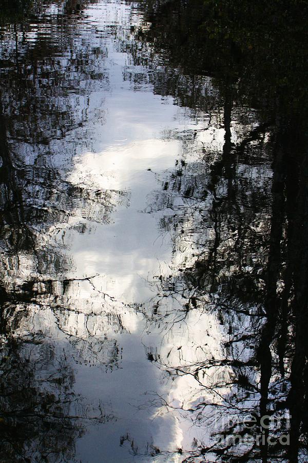 Reflection On Sweet Water Strand Photograph