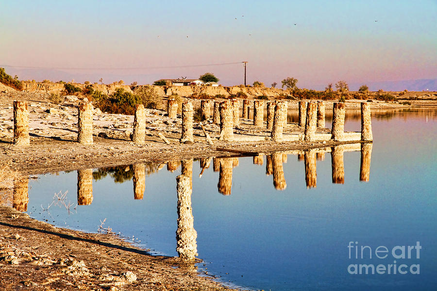 Reflection on the Shore of the Salton Sea by Diana Sainz Photograph by Diana Raquel Sainz