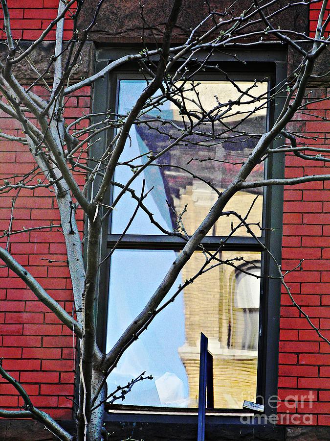 Reflection on Washington Heights Photograph by Sarah Loft