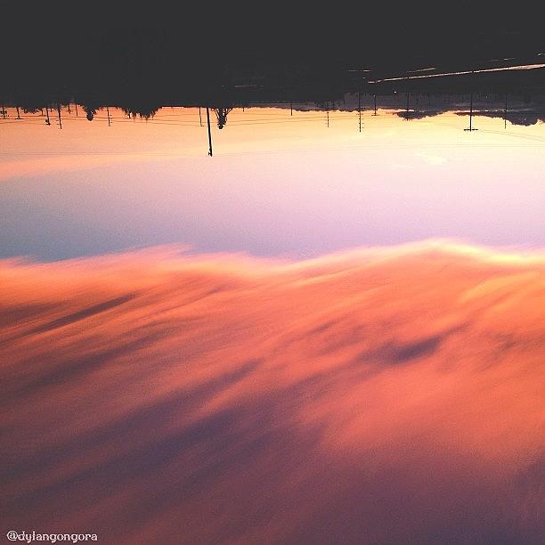 //reflection Or Just Upside-down??// Photograph by Dylan Gongora