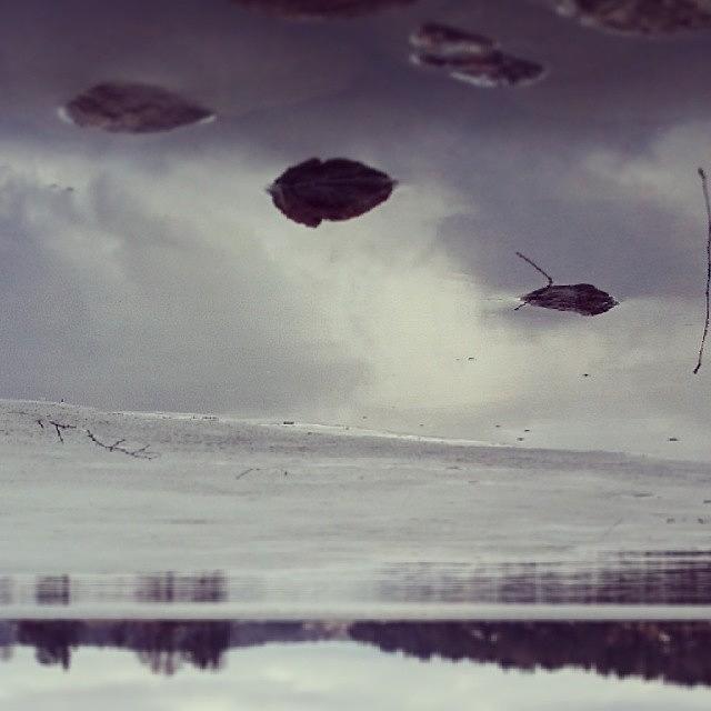 Winter Photograph - #reflection #puddlegram #ice #icy by Svein Karlsen
