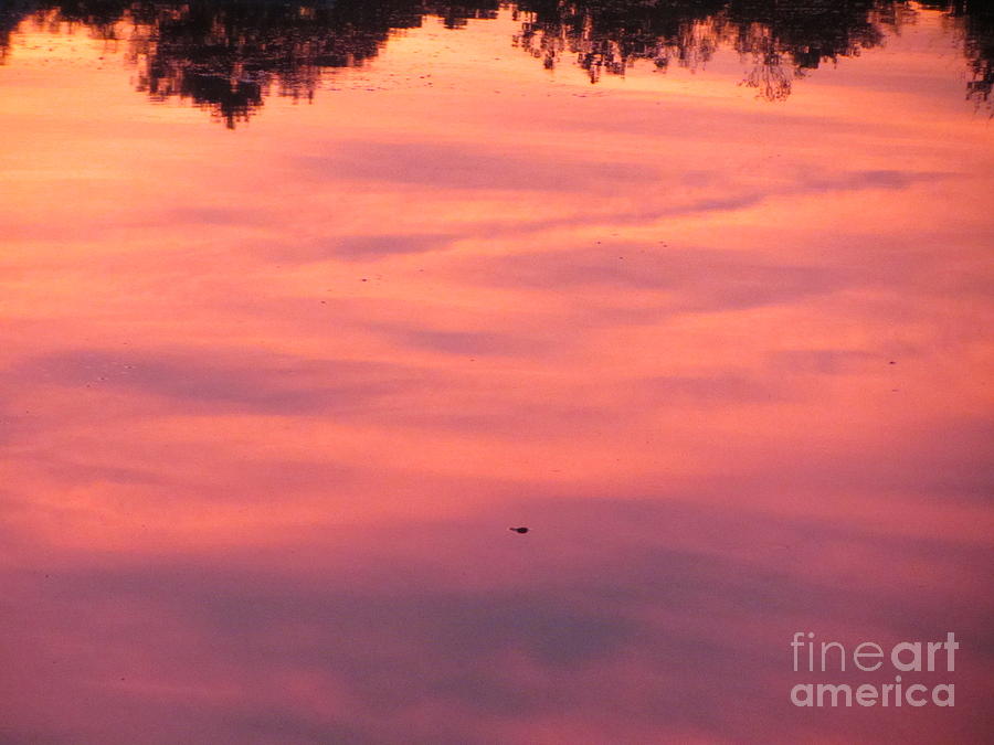 Reflection - Sunrise Photograph by Susan Carella