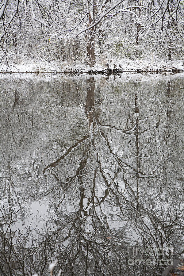 Reflection Photograph by Timothy Johnson