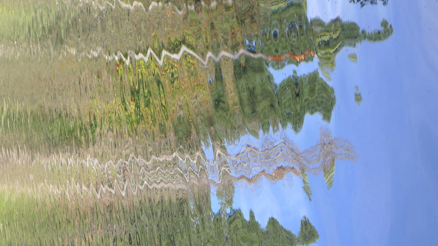 Reflection Trees 1  Photograph by Nora Boghossian