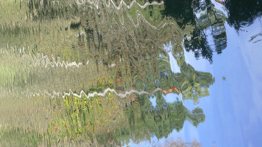 Reflection - Trees  Photograph by Nora Boghossian