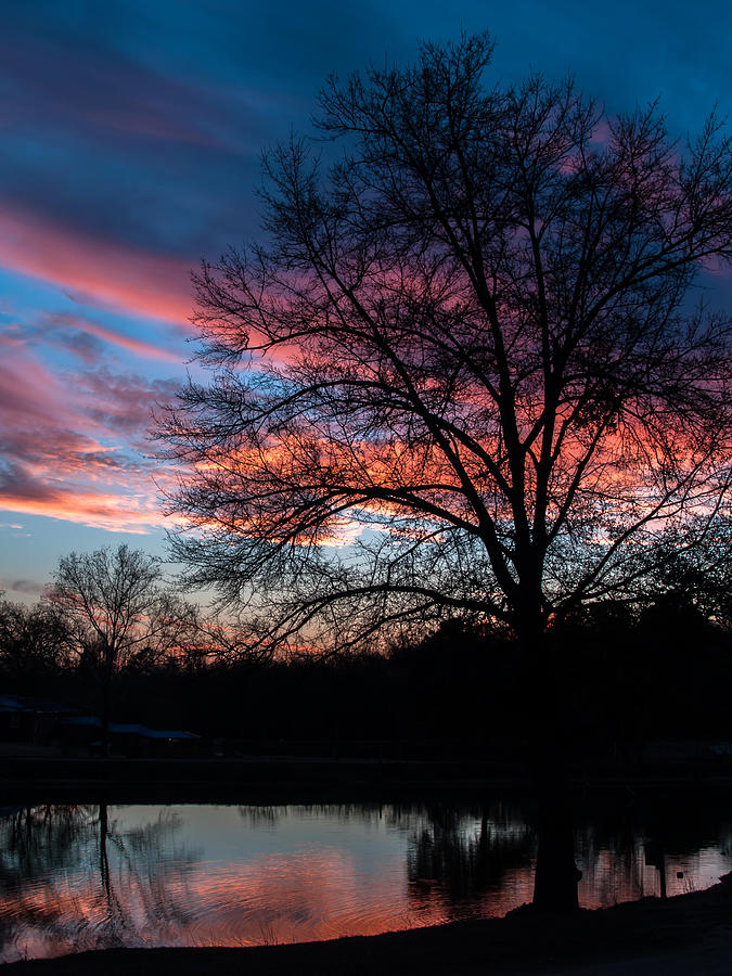 Winter Twilight Reflections Photograph by Charles Hite