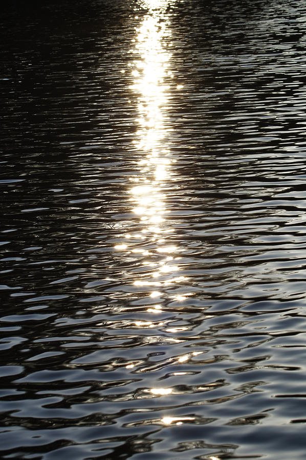 Water Photograph - Reflections by Angela Killary