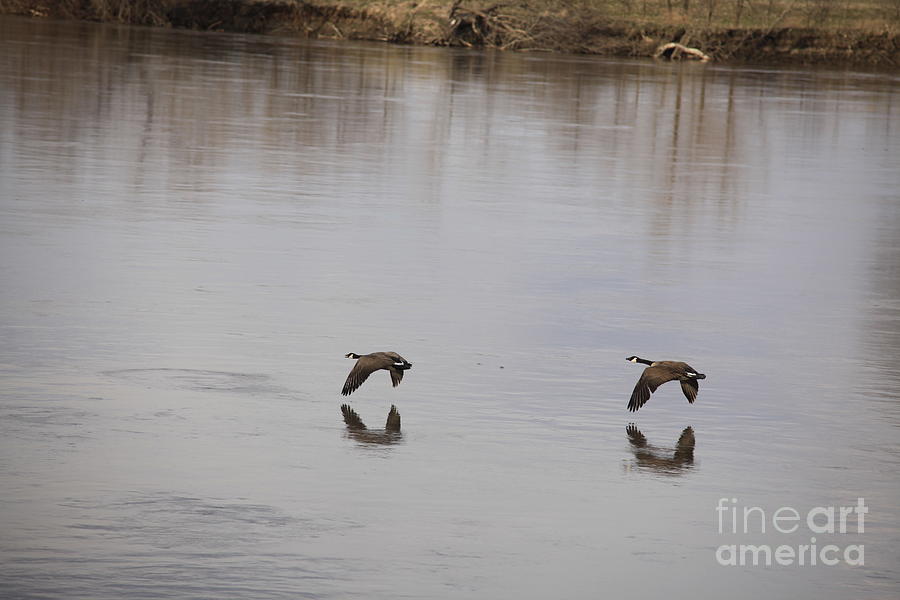 Reflections Photograph by Kathy Fine Art America