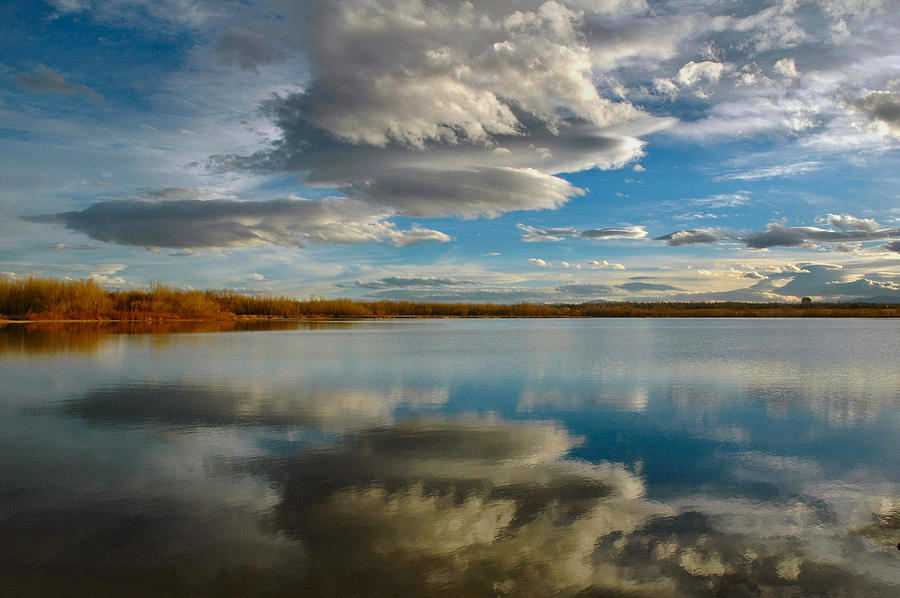 Reflections at Cherry Creek Photograph by Lynn Bauer