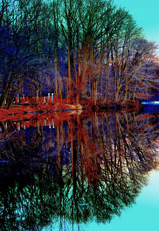Reflections At Farrington Lake 1 Digital Art by Aron Chervin