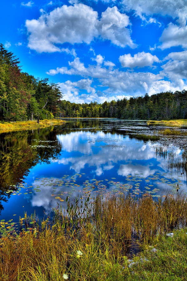 Reflections at Fly Pond Photograph by David Patterson
