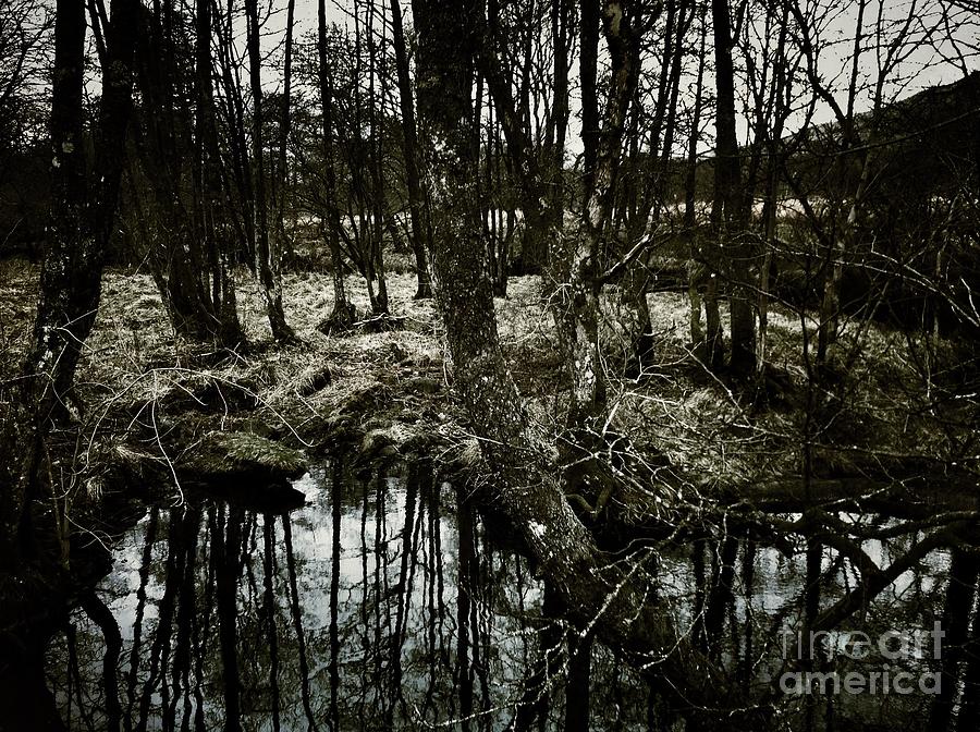 Reflections at GlenOrchey  Photograph by Joan-Violet Stretch