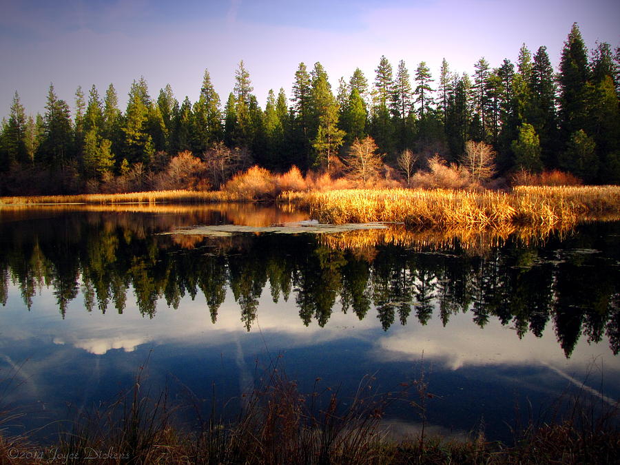 Reflections At Grace Lake Photograph by Joyce Dickens - Fine Art America