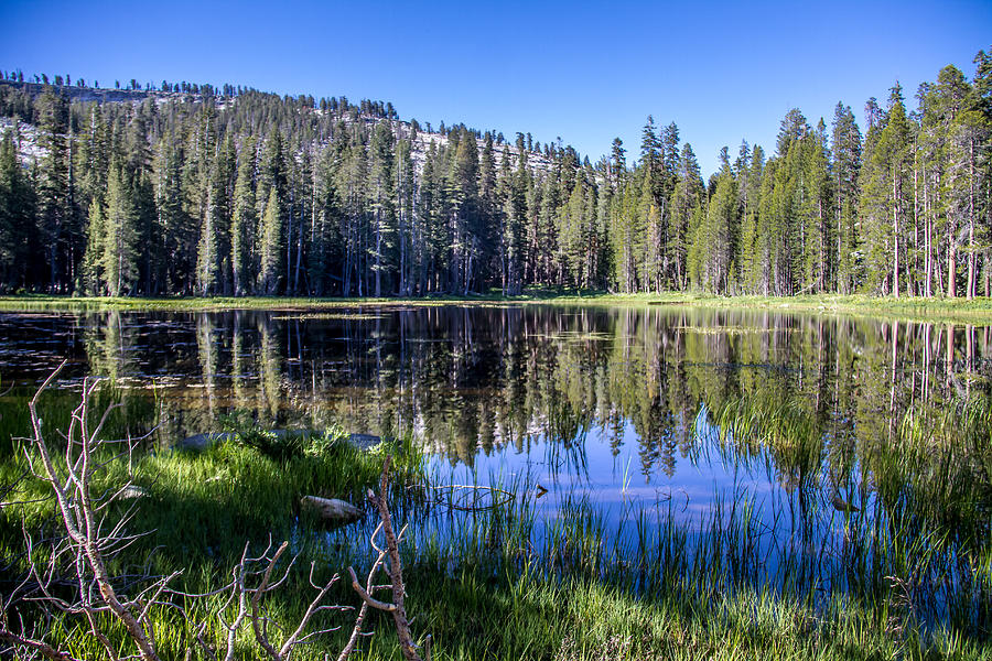 REFLECTIONS at its best Photograph by Brian Williamson - Fine Art America