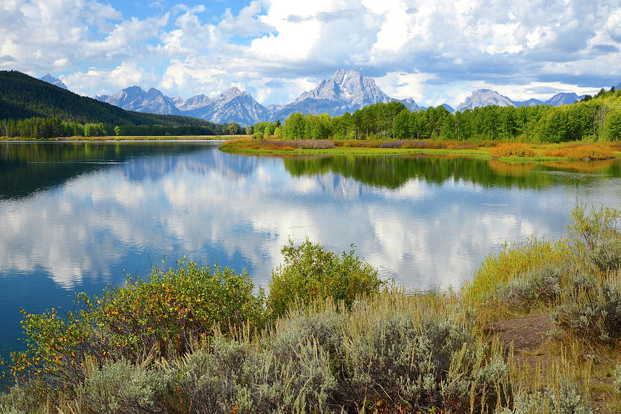 Reflections At Oxbow Bend Photograph by Deborah Garber