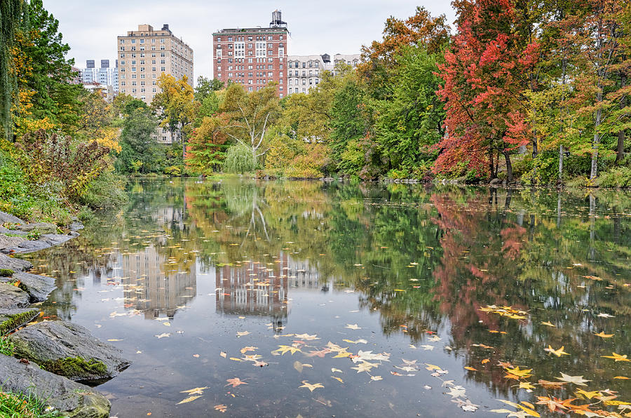 Reflections at The Pool in Central Park Photograph by Silvio Ligutti