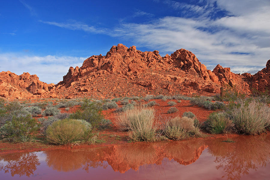 Reflections At The Valley of Fire Photograph by Steve Wolfe