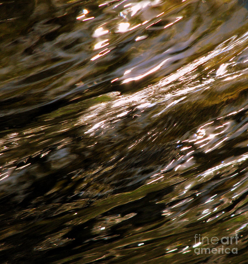 Abstract Photograph - Reflections by C Ray  Roth