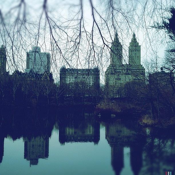 Reflections. #centralpark Photograph by Bonnie Natko