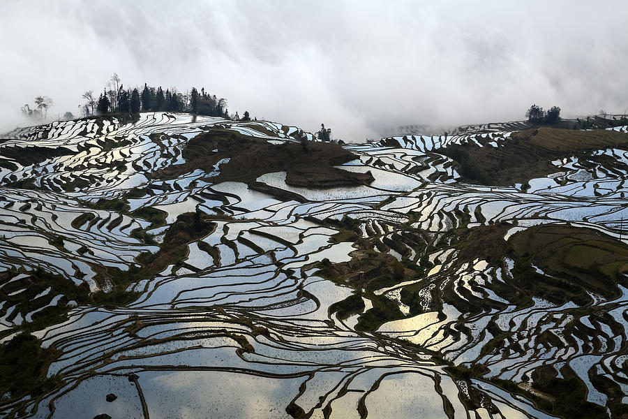Pattern Photograph - Reflections Daoyishu China by Wei Seng Chen