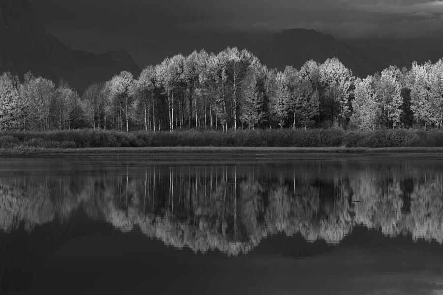 Reflections Photograph by David Andersen