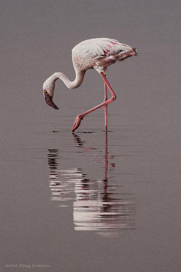 Flamingo Drawing - Reflections by Stirring Images