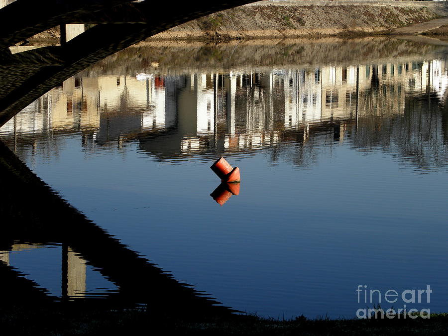 Nature Photograph - Reflections by Frances Hodgkins