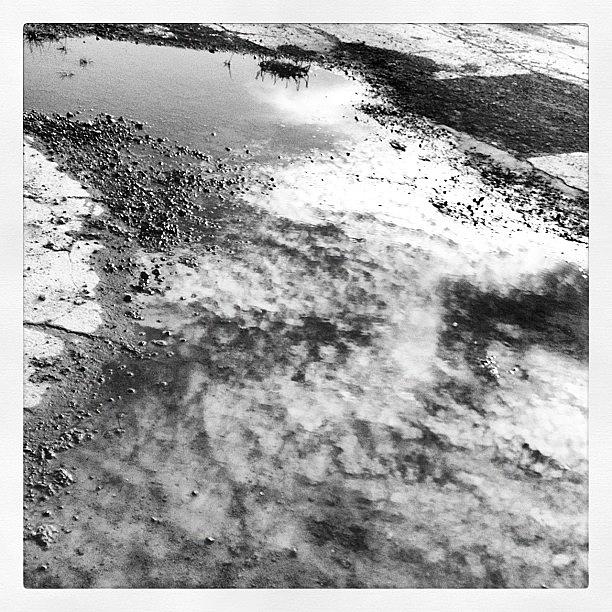 Abstract Photograph - #reflections From My Run Yesterday by Laryn Perkins Photography