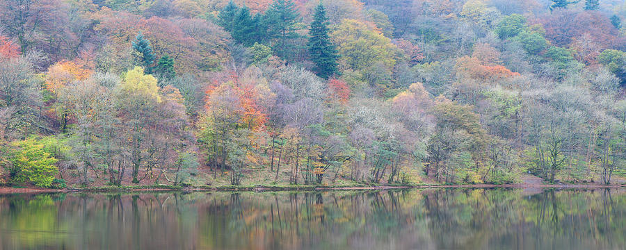 Reflections Grasmere Photograph by Nick Atkin