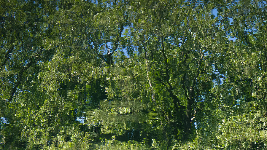 Reflections III Photograph by James Oppenheim