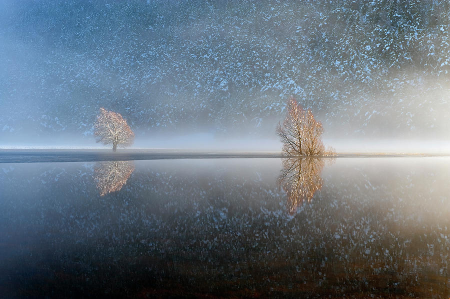 Reflections In A Lake In Winter, French Photograph by Jean-pierre Pieuchot