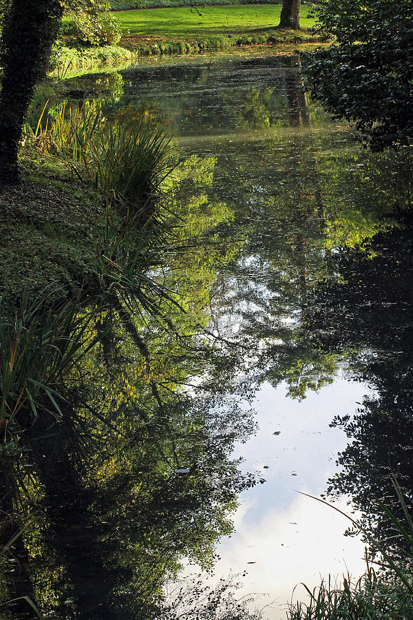 Reflections in a Lake Photograph by Tony Murtagh