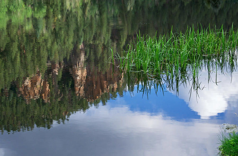 Reflections in a Mountain Pond Photograph by Mary Lee Dereske