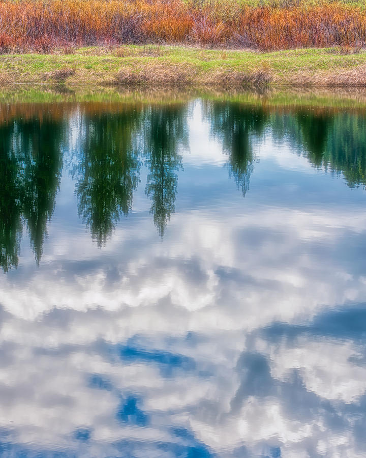 Reflections in a Pond Photograph by Joan Herwig
