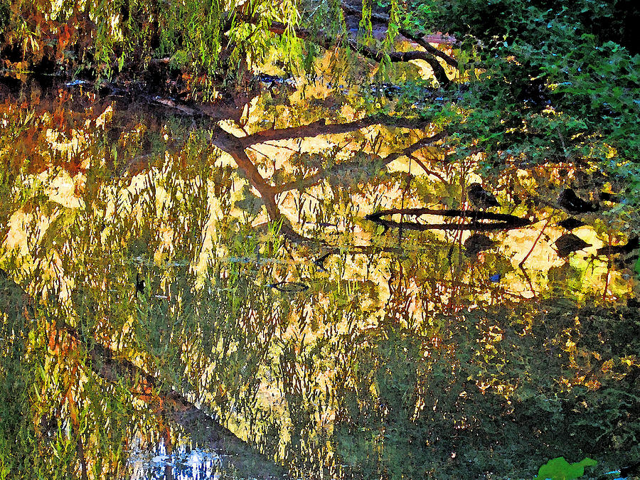 Reflections In Bayou Robert by Louis Nugent Reflections In Bayou Robert by Louis Nugent