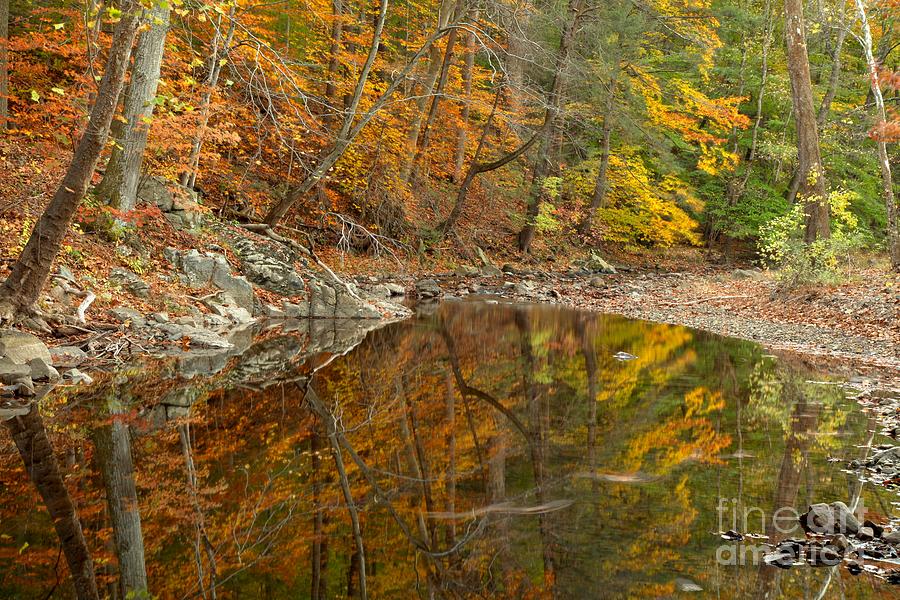 Reflections In Bucks County Pennsylvania Photograph by Adam Jewell