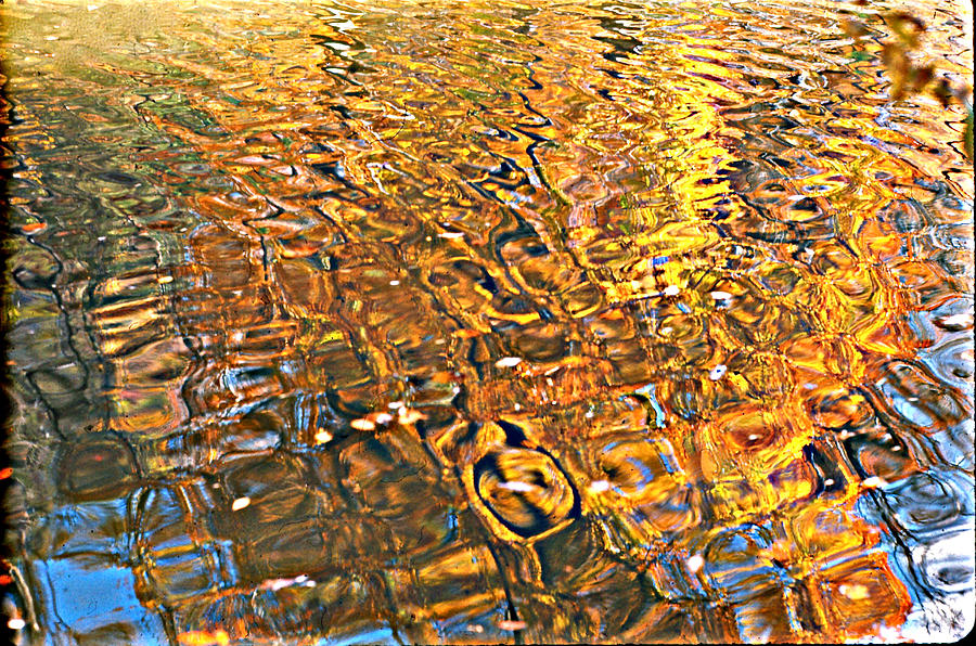 Reflections in Gold Photograph by Ira Shander